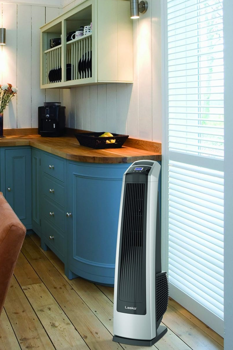 DodoPick for the Best Value Floor Fan